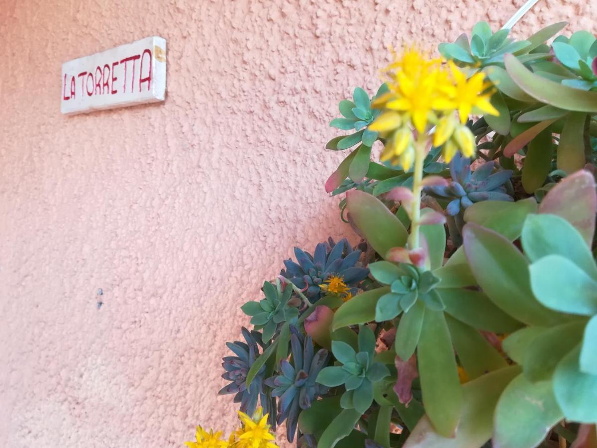 Séjour à la campagne 