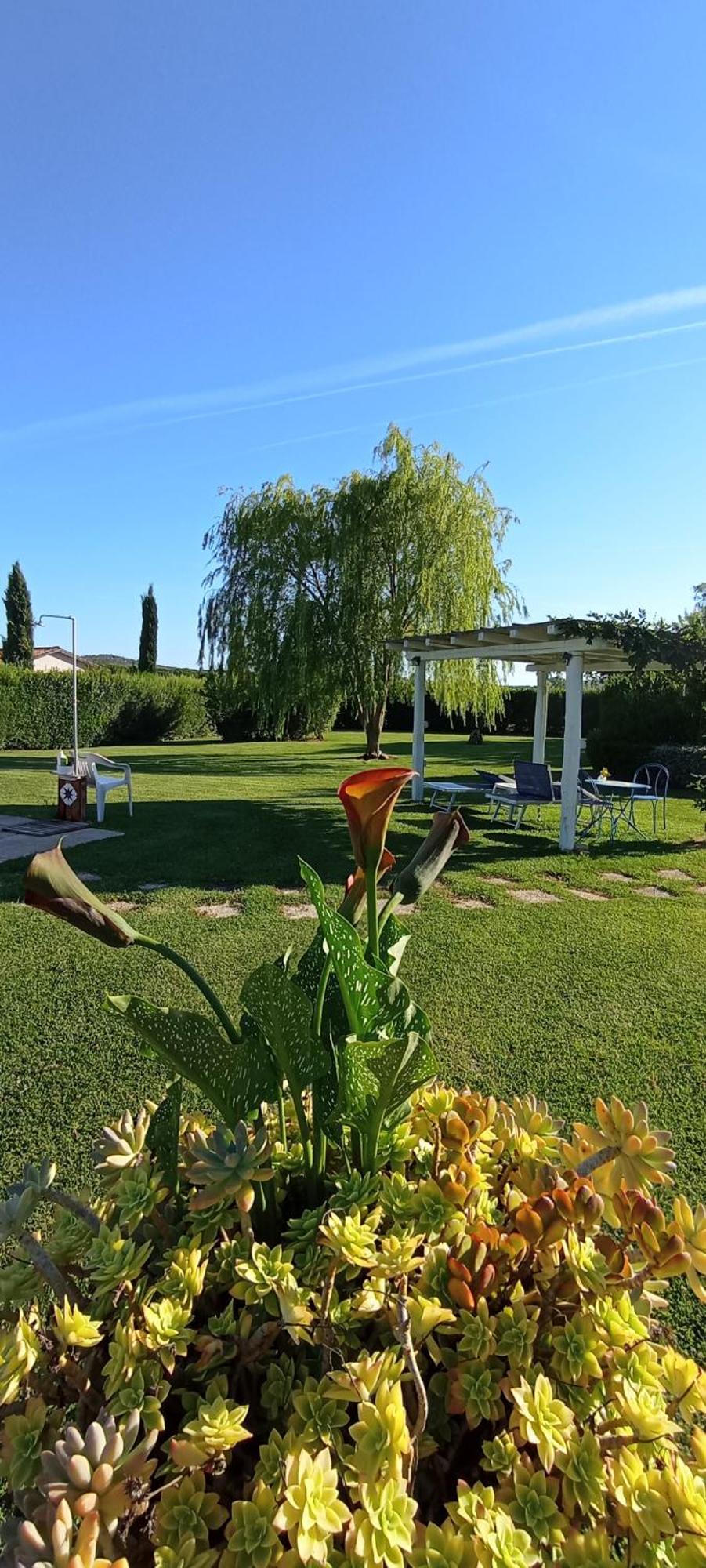 Country house 